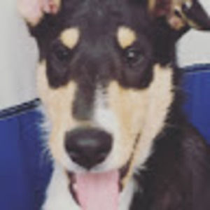 Meet your Posher, Grace